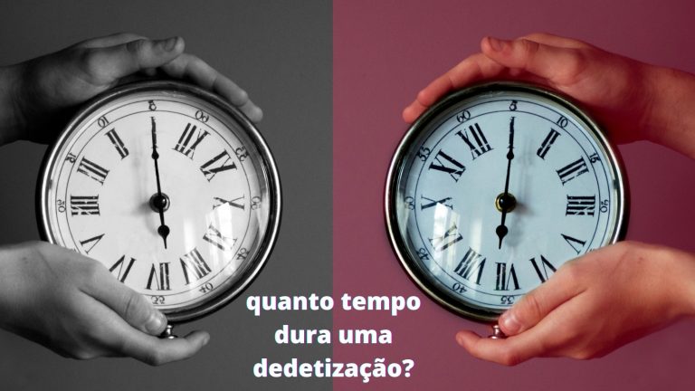 Por Quanto tempo Dura uma Dedetização?